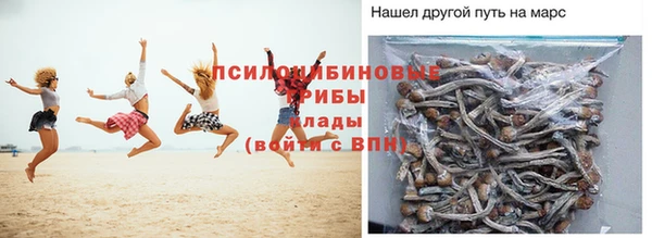 первитин Алексеевка