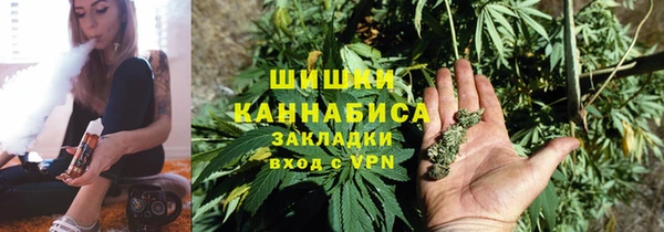 бошки Алексин