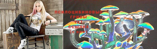 ECSTASY Абдулино