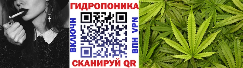 Бошки марихуана семена  сколько стоит  ссылка на мегу ссылки  Лосино-Петровский 